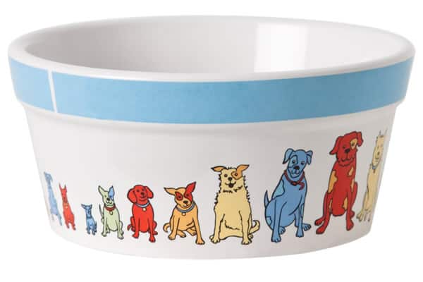 Ceramic Dog Bowl 4