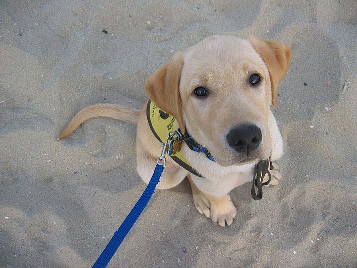 Derby at the beach