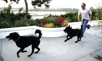 Human chasing two black dogs
