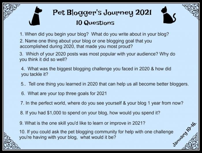 Pet Bloggers Journey 2021 Questions - Dog and Cat