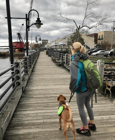Walking my dog Wally on a short leather leash tab